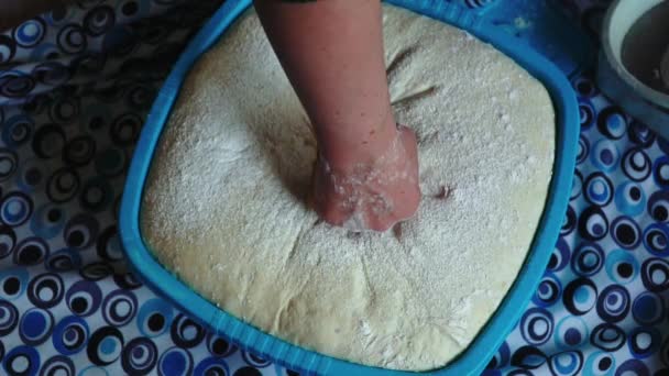 Mother Kneads Dough Her Children — Stock Video