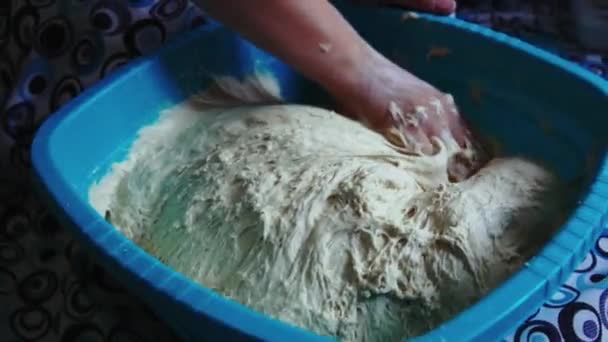 Madre Impasta Pasta Suoi Figli — Video Stock