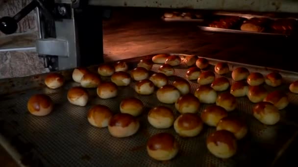 Rosquillas Pasteles Recién Hechos — Vídeo de stock