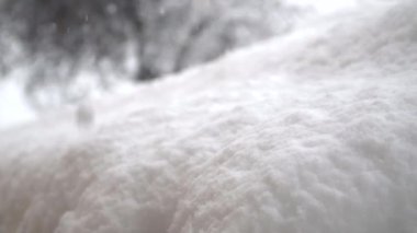 Kışın soğuk aylarında pencerede kar kristalleri oluştu.