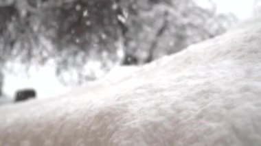 Kışın soğuk aylarında pencerede kar kristalleri oluştu.