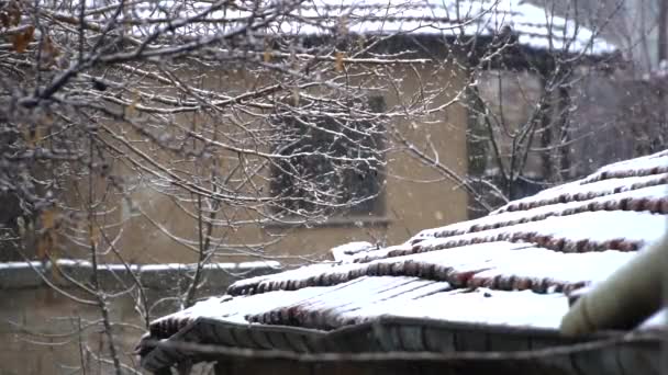 Den Kalten Wintermonaten Bildeten Sich Schneekristalle Fenster — Stockvideo