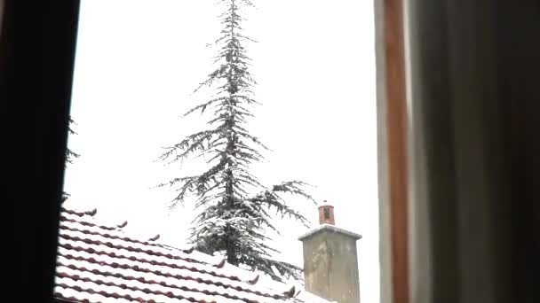 Snow Crystals Formed Window Cold Months Winter — Stock Video