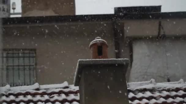 Cristales Nieve Formados Ventana Durante Los Meses Fríos Del Invierno — Vídeo de stock