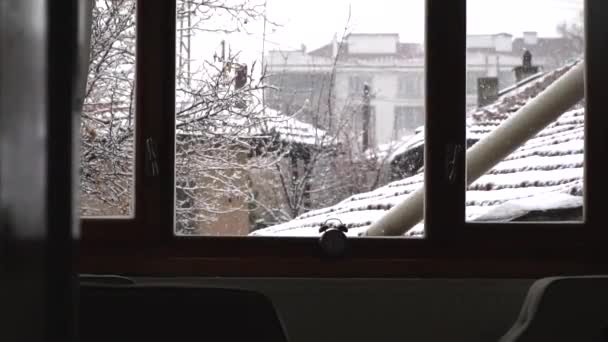 มะท นบนหน างในช วงเด อนหนาวของฤด หนาว — วีดีโอสต็อก