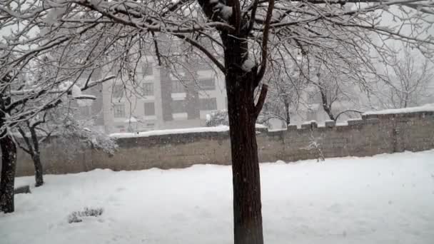 Den Kalten Wintermonaten Bildeten Sich Schneekristalle Fenster — Stockvideo