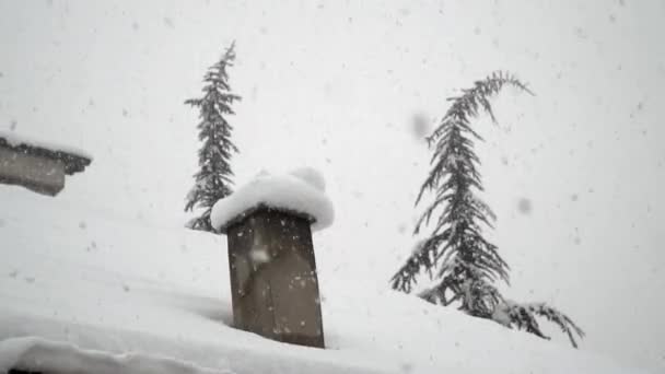 Cristales Nieve Formados Ventana Durante Los Meses Fríos Del Invierno — Vídeo de stock