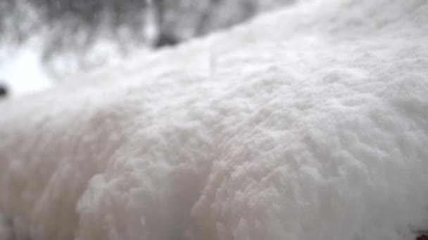 Снежные Кристаллы Образуются Окне Холодные Месяцы Зимы — стоковое видео