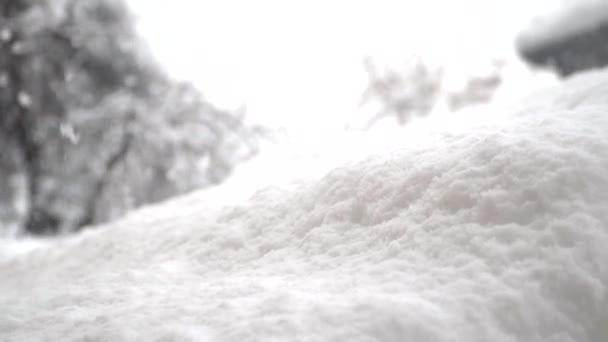 Cristais Neve Formados Janela Durante Meses Frios Inverno — Vídeo de Stock