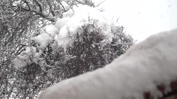 Den Kalten Wintermonaten Bildeten Sich Schneekristalle Fenster — Stockvideo