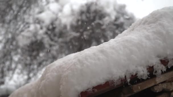 Snow Crystals Formed Window Cold Months Winter — Stock Video