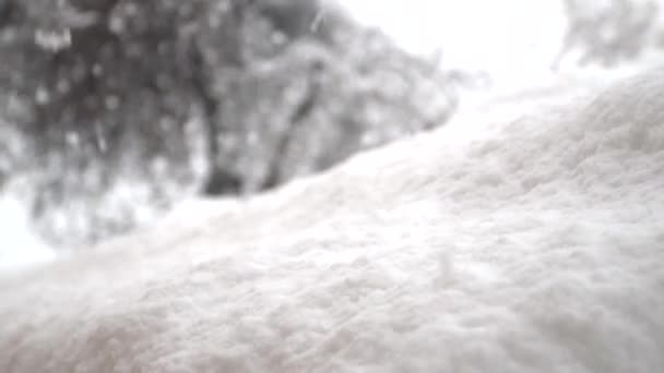 Během Chladných Zimních Měsíců Okně Vytvořily Sněhové Krystaly — Stock video