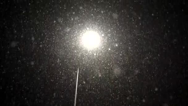 Mamy Piękny Dzień Płatki Śniegu Nadal Padają — Wideo stockowe