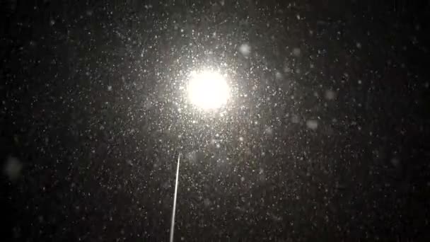 美しい一日で 雪の結晶は雨が続きます — ストック動画