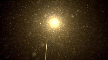 Güzel bir gün ve kar taneleri yağmaya devam ediyor..