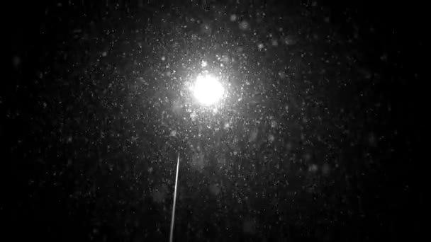 Сегодня Прекрасный День Снежинки Продолжают Дождь — стоковое видео