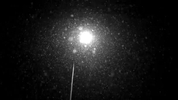 Una Bella Giornata Fiocchi Neve Continuano Piovere — Video Stock