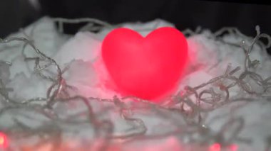 Sevgililer Günü için özel