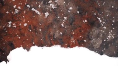 Güzel bir gün ve kar taneleri yağmaya devam ediyor..