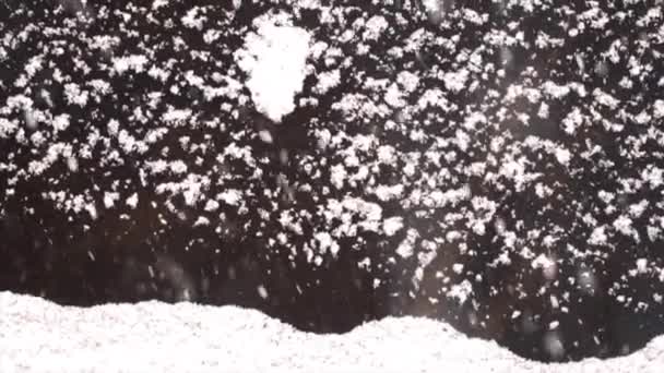 Fait Beau Les Flocons Neige Continuent Pleuvoir — Video