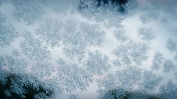 Během Chladných Zimních Měsíců Okně Vytvořily Sněhové Krystaly — Stock fotografie