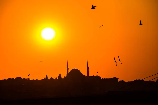 Pôr Sol Silhueta Uma Mesquita Istambul — Fotografia de Stock