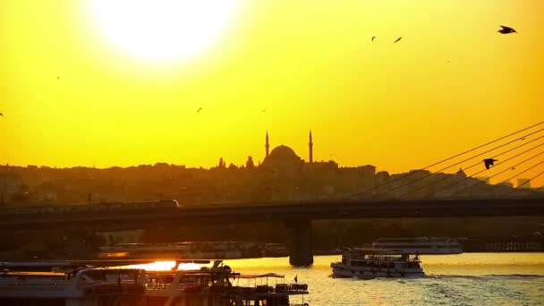 Maggio 2016 Stanbul Turchia Vista Sul Tramonto Istanbul Dal Ponte — Video Stock