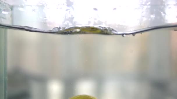 Organik Sıkılmış Taze Meyve Suyu — Stok video