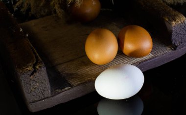 Yumurtanın ışık ve kontrastlı fotoğrafları.