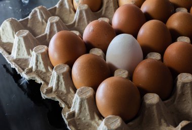 Yumurtanın ışık ve kontrastlı fotoğrafları.