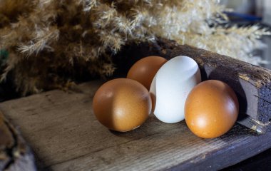 Mutfakta annem var...