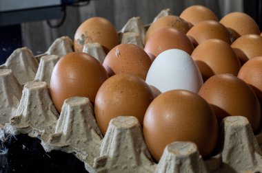 Mutfakta annem var...