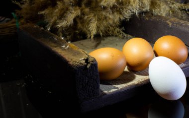 Mutfakta annem var...