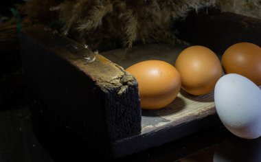 Annem çocukları için pastane ürünleri hazırlayacak.