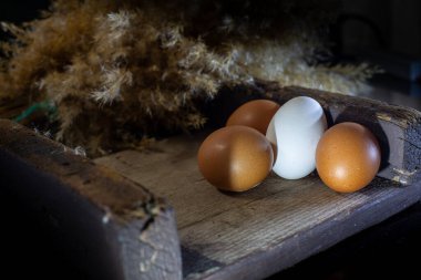 Annem çocukları için pastane ürünleri hazırlayacak.