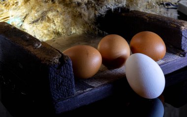 Annem çocukları için pastane ürünleri hazırlayacak.