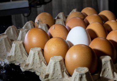 Annem çocukları için pastane ürünleri hazırlayacak.