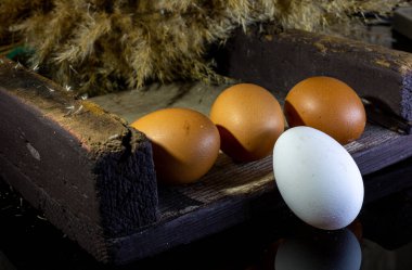 Annem çocukları için pastane ürünleri hazırlayacak.