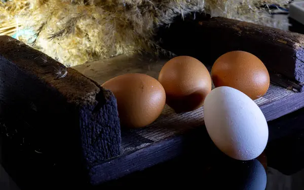 Annem çocukları için pastane ürünleri hazırlayacak.