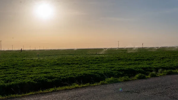Immagine Sistemi Irrigazione Terreni Agricoli — Foto Stock