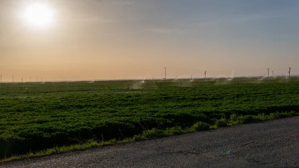 Immagine Sistemi Irrigazione Terreni Agricoli — Foto Stock
