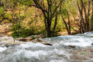 Dağın bir noktasından çıkan doğal akıntı.