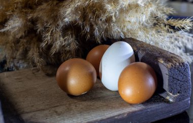 Yumurtanın ışık ve kontrastlı fotoğrafları.