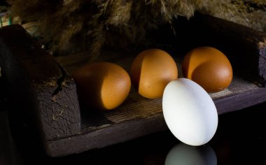 Yumurtanın ışık ve kontrastlı fotoğrafları.