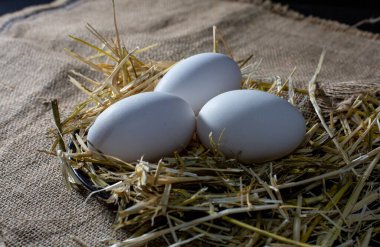 Yumurtanın ışık ve kontrastlı fotoğrafları.