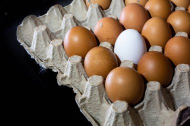 Yumurtanın ışık ve kontrastlı fotoğrafları.