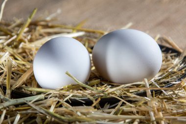 Yumurtanın ışık ve kontrastlı fotoğrafları.