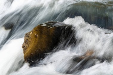 River cascades in the forest
