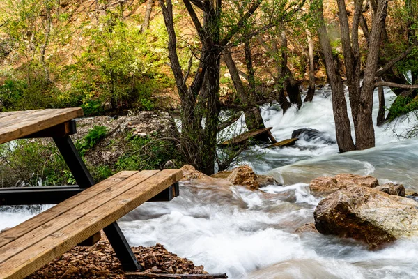 River Cascades Forest — Fotografia de Stock