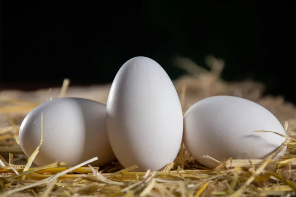 Ich Habe Meine Mutter Der Küche — Stockfoto